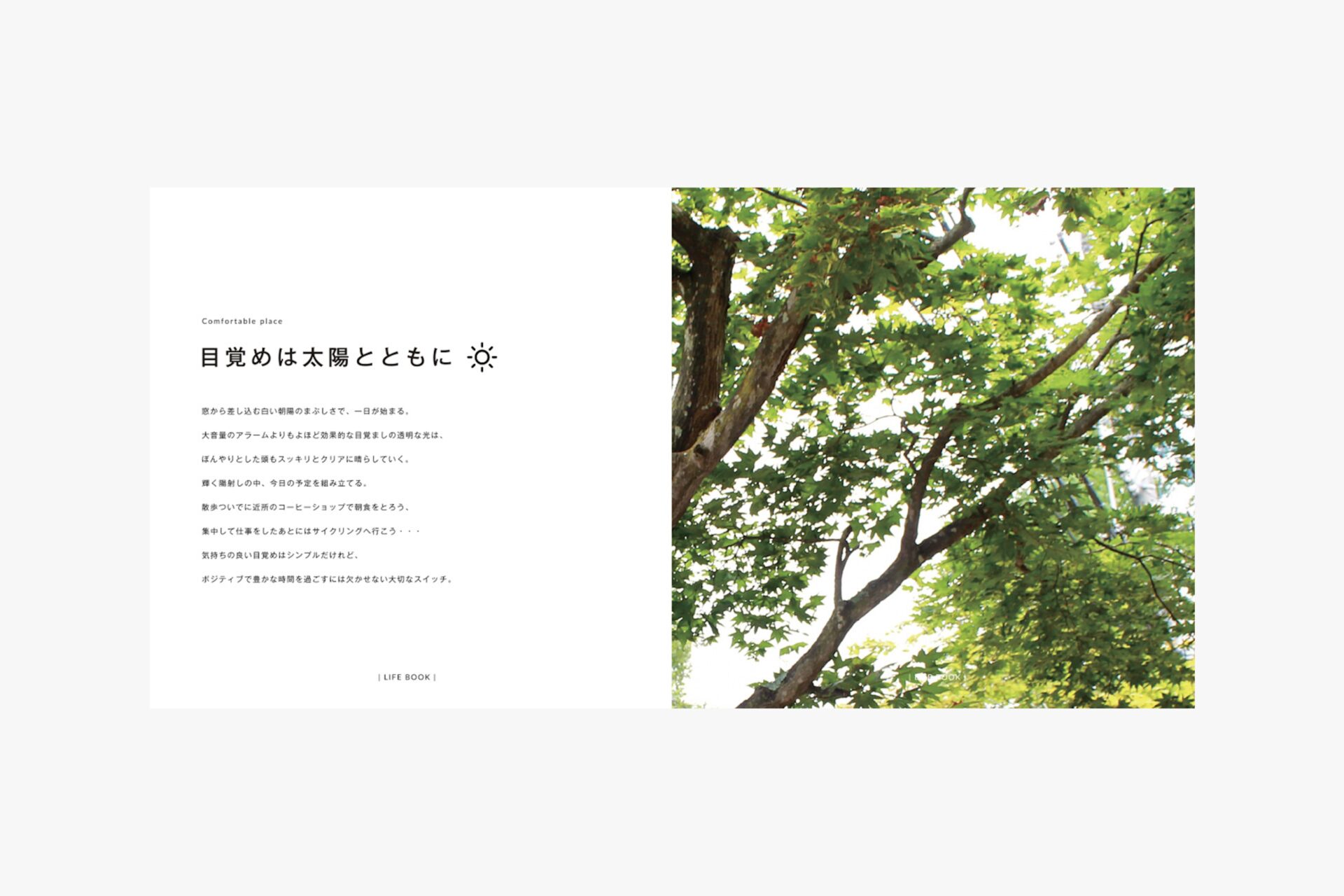 アトリエカムイ